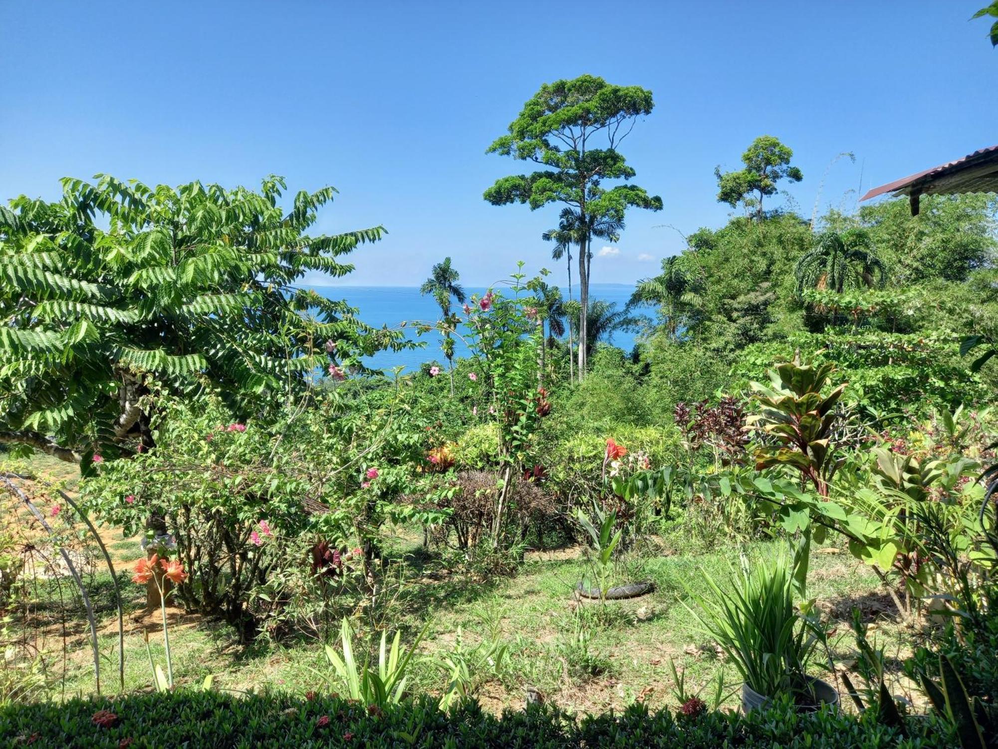 Отель Bella Vista Corcovado Драке Номер фото